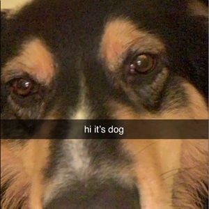 Meet your Posher, Taylor